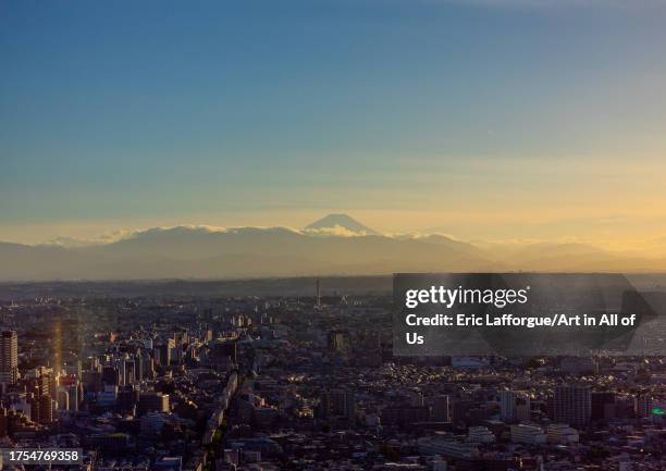 Aerial view of the city and mount Fuji at sunset, Kanto region, Tokyo, Japan on September 1, 2023 in Tokyo, Japan.