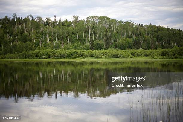 reflections of a lush forest - isle royale national park stock pictures, royalty-free photos & images