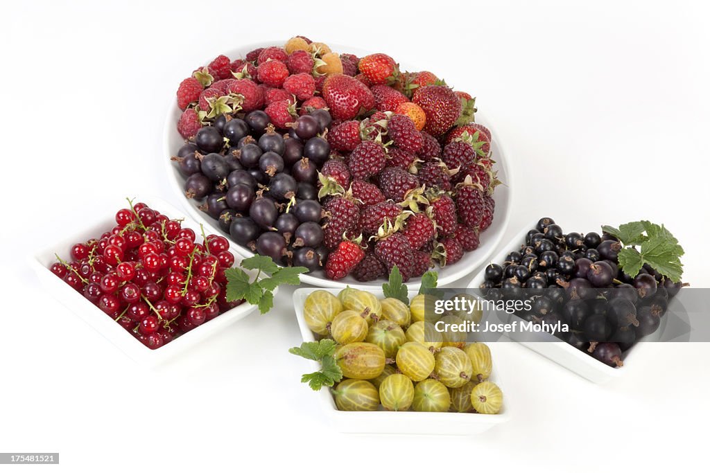 Berry Fruits