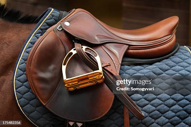 english saddle - zadel stockfoto's en -beelden