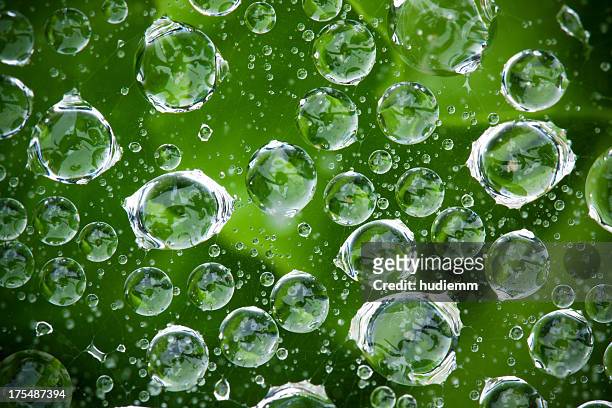 gotas de agua - green inspiring backgrounds fotografías e imágenes de stock