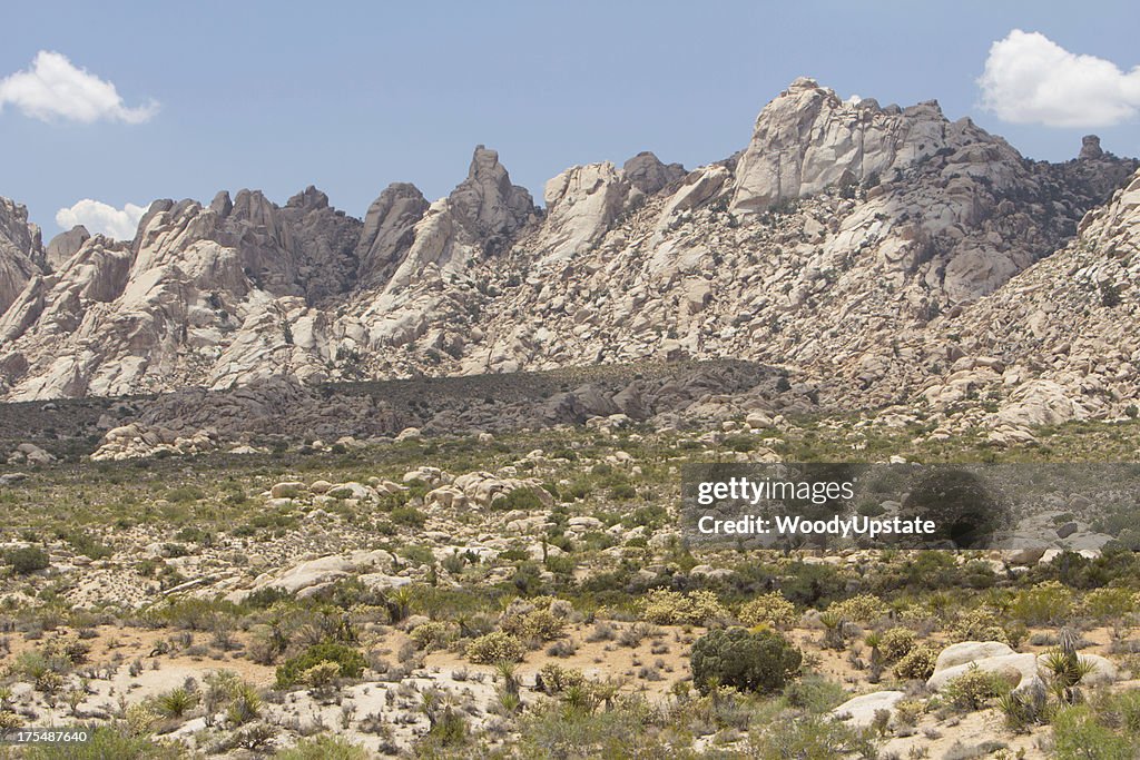 Desert Landscape