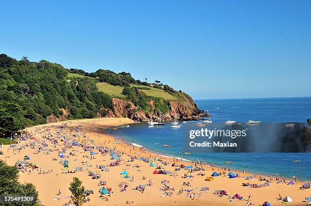 devon beach - devon stock pictures, royalty-free photos & images