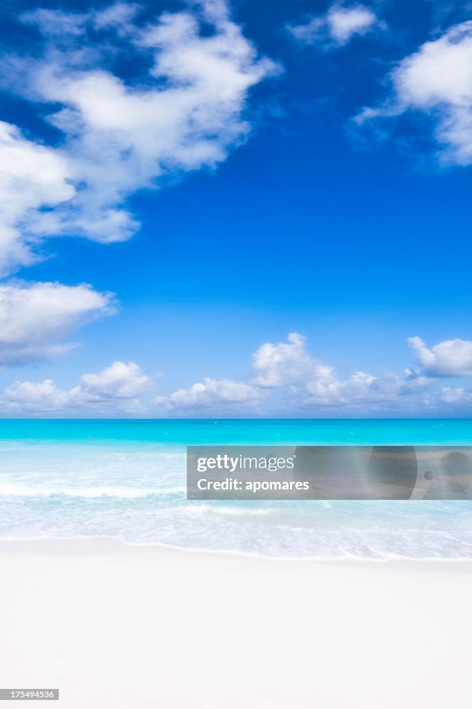 Paradisaical tropical white sand cay beach with turquoise waters