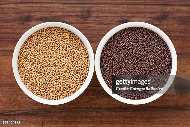 mustard grains - mustard plant stock pictures, royalty-free photos & images