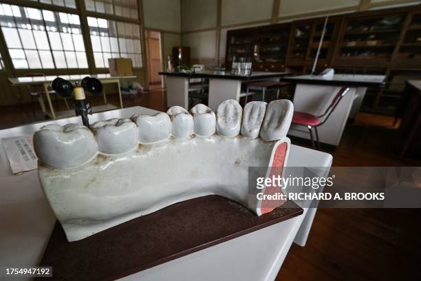 This photo taken on September 20, 2023 shows a science model of gums and teeth in a classroom at the former Ashigakubo Elementary School in the town...