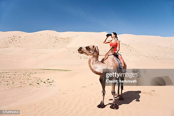 mujer joven s'está mirando a través de binoculares en camello - camel active fotografías e imágenes de stock