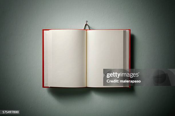 art book - open book stockfoto's en -beelden