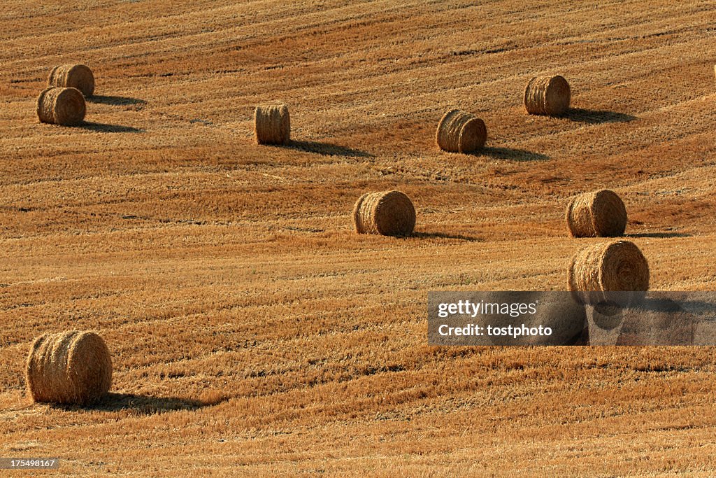 Hay bales