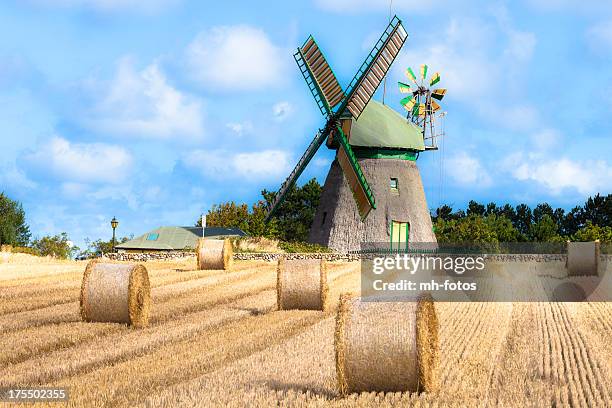 windmühle auf der vorderseite des corn field - amrum stock-fotos und bilder