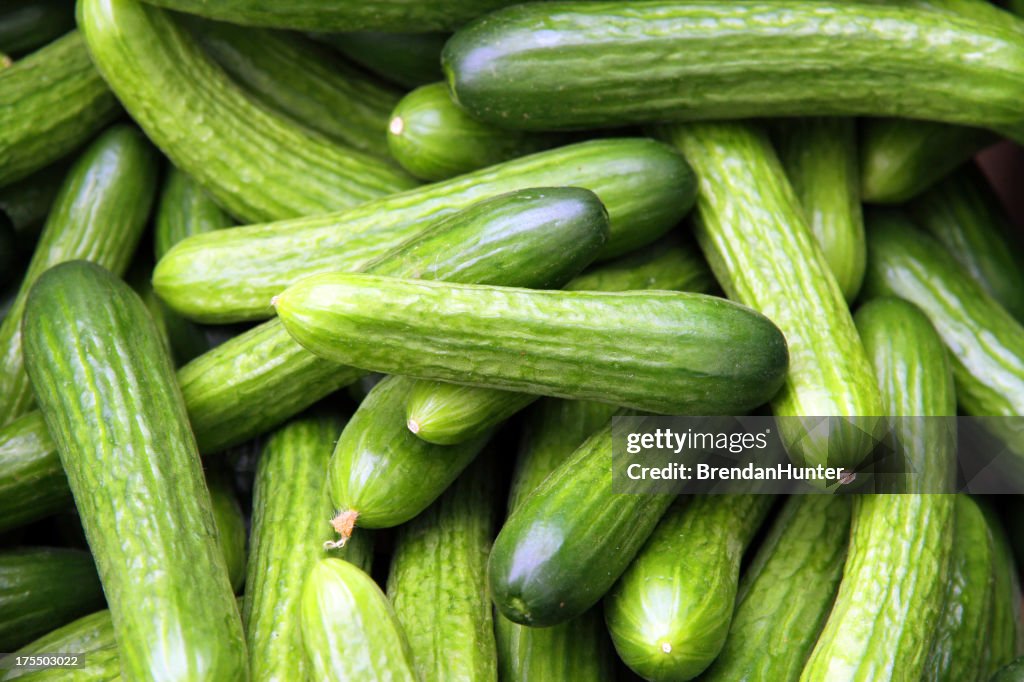 Cucumber