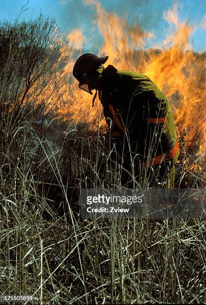 fireman fighting brush fire - fighting forest fire stock pictures, royalty-free photos & images