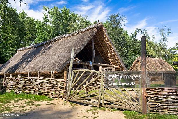 the old slavic settlement - thatched roof huts stock pictures, royalty-free photos & images