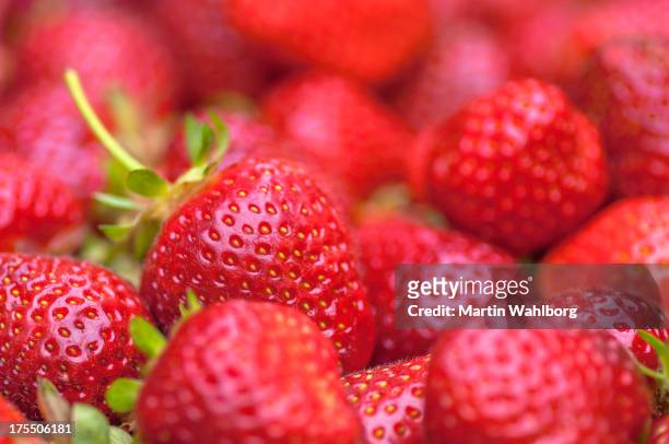 strawberries - strawberry stock pictures, royalty-free photos & images