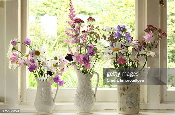 flowers on a windowsill - astilbe stock pictures, royalty-free photos & images