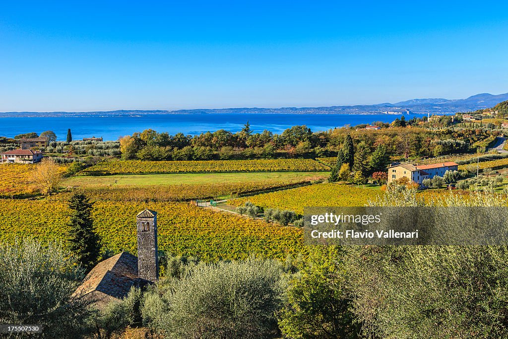 Vineyards in Autumn, Lake Garda, Italy