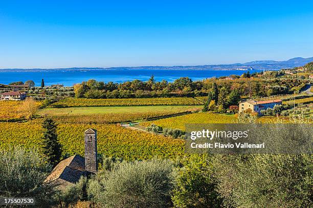 vinhedos no outono, o lago de garda, itália - lago di garda - fotografias e filmes do acervo