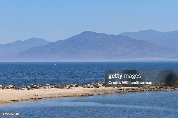 the salton sea in california desert - salton sea stock pictures, royalty-free photos & images
