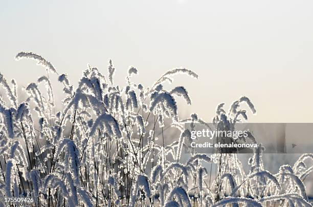 winter - deep snow stockfoto's en -beelden