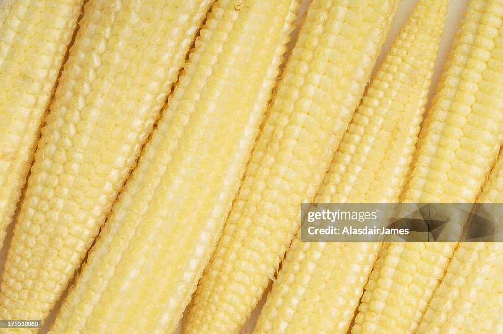 Baby corn background