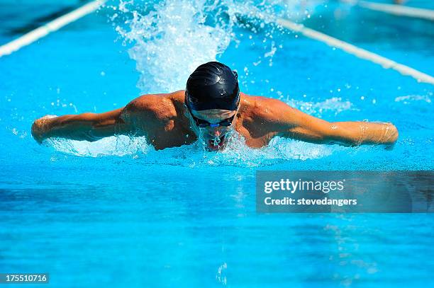 professional swimmer - stevedangers stock pictures, royalty-free photos & images