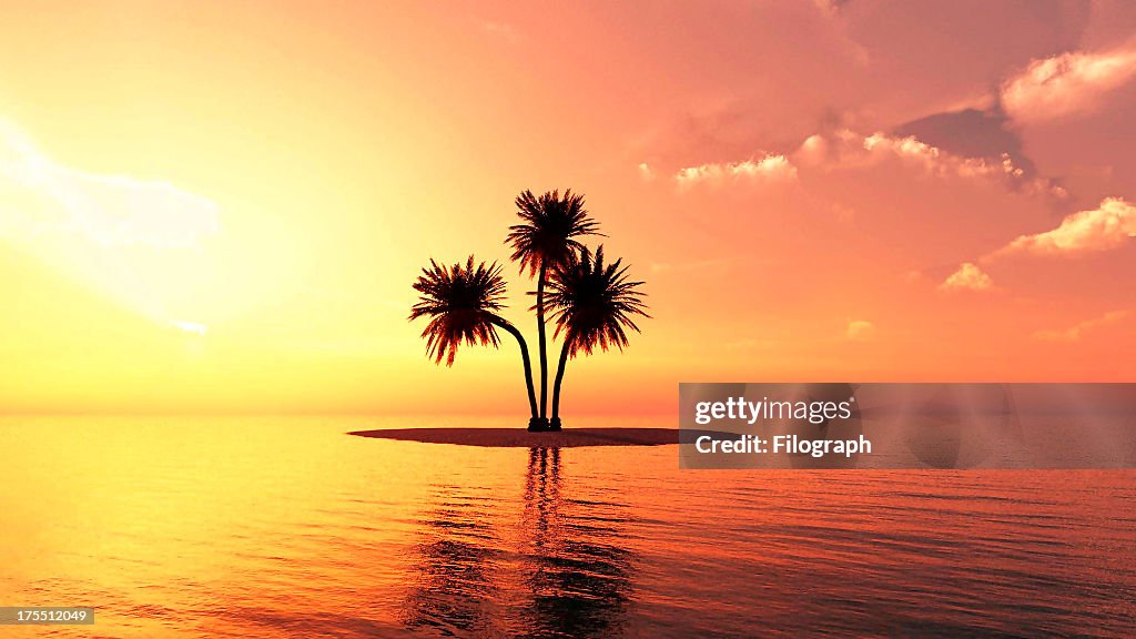 Romantic summer beach sunset