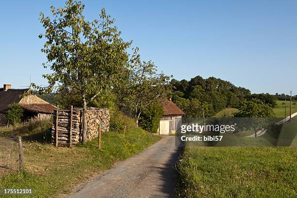 old farm in france - walnut farm stock pictures, royalty-free photos & images