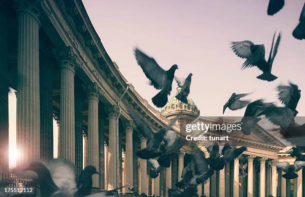 kazan cathedral, st. petersburg, russia - kazan cathedral st petersburg stock pictures, royalty-free photos & images