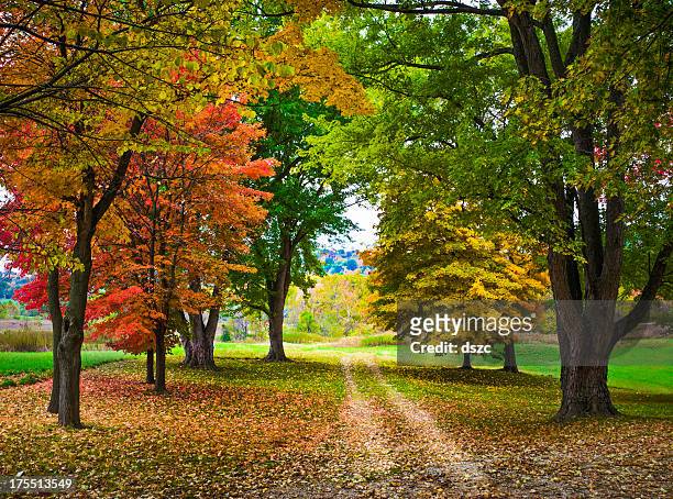 autumn foliage and country lane - missouri stock pictures, royalty-free photos & images
