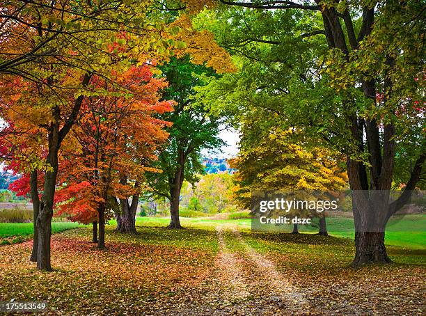 autumn foliage and country lane - missouri bildbanksfoton och bilder