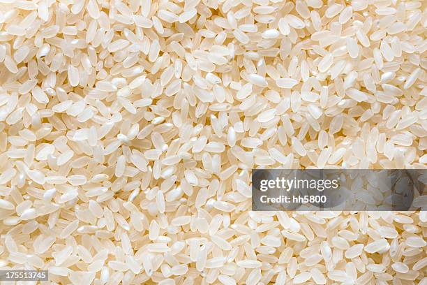 rice background - rice bildbanksfoton och bilder