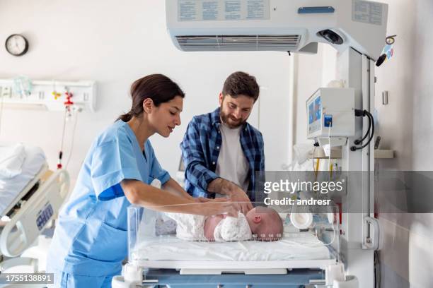 midwife introducing father to his newborn baby - cute nurses stockfoto's en -beelden