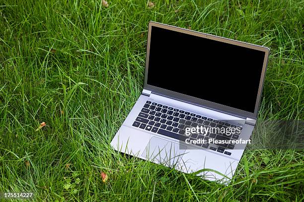 Grass Green Screen Photos and Premium High Res Pictures - Getty Images