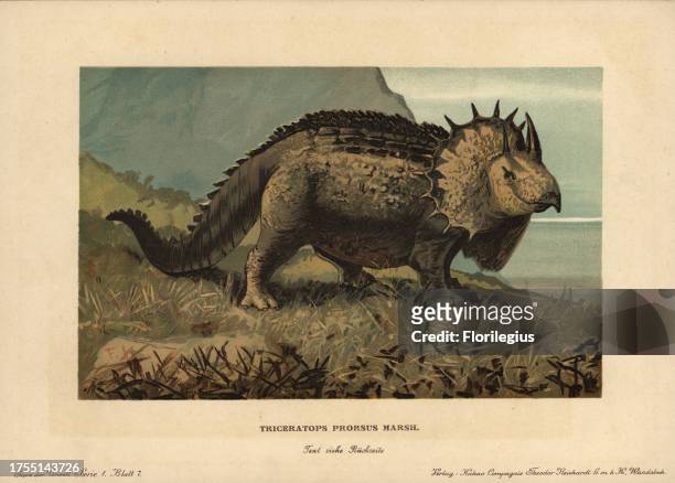 Triceratops prorsus Marsh., extinct genus of herbivorous ceratopsid dinosaur of the Cretaceous Period. Colour printed illustration by F. John from...