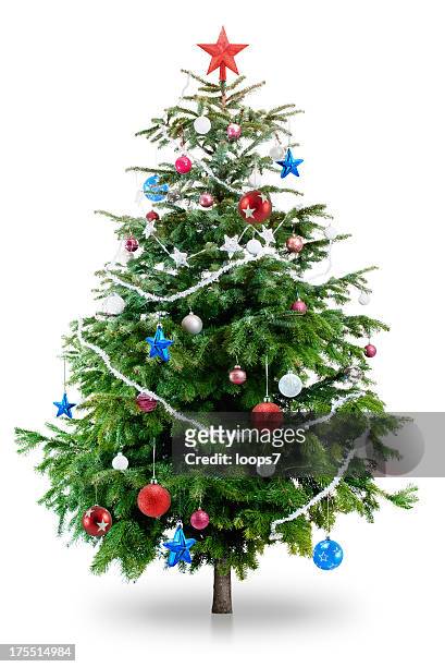 christmas tree - christmas trees 個照片及圖片檔