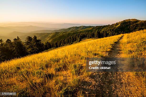 schönen morgen-mores mountain, idaho - idaho stock-fotos und bilder