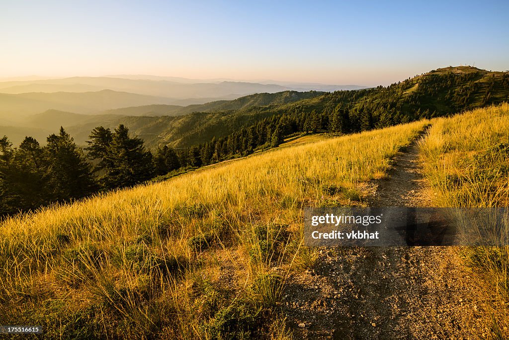 Bella mattina-Mores Mountain Idaho