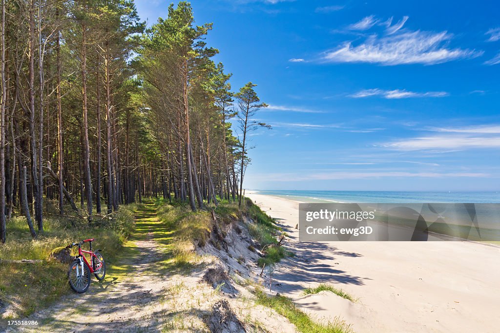 Path an der Küste und Ostsee