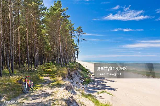 path at the seashore, baltic sea - poland stockfoto's en -beelden