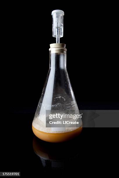 a picture of a brewing yeast starter - boiling flask stock pictures, royalty-free photos & images