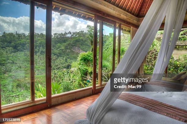 villa de luxe avec vue sur la jungle - suite photos et images de collection