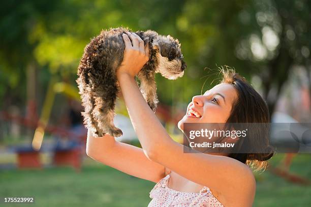 teenage girl with puppy - schnauzer stock pictures, royalty-free photos & images