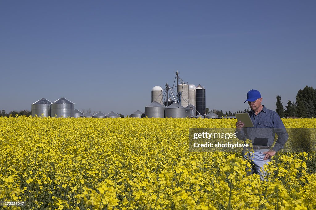 Farmer and Silos