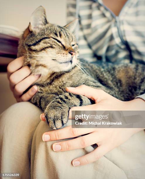 glückliche frau und katze auf dem bauch liegen ein paar bahnen. - cat hand stock-fotos und bilder