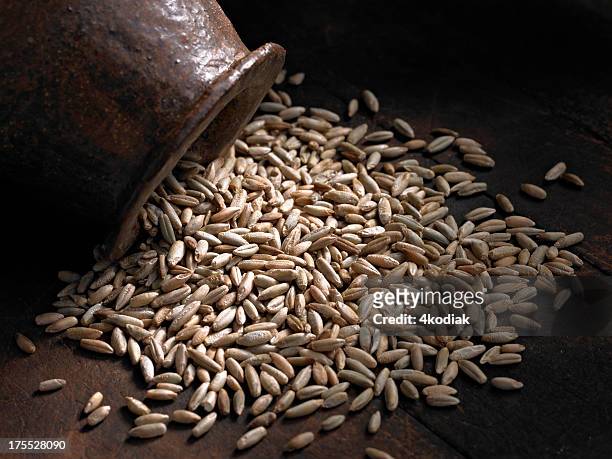 rye berries - rye - grain stock pictures, royalty-free photos & images