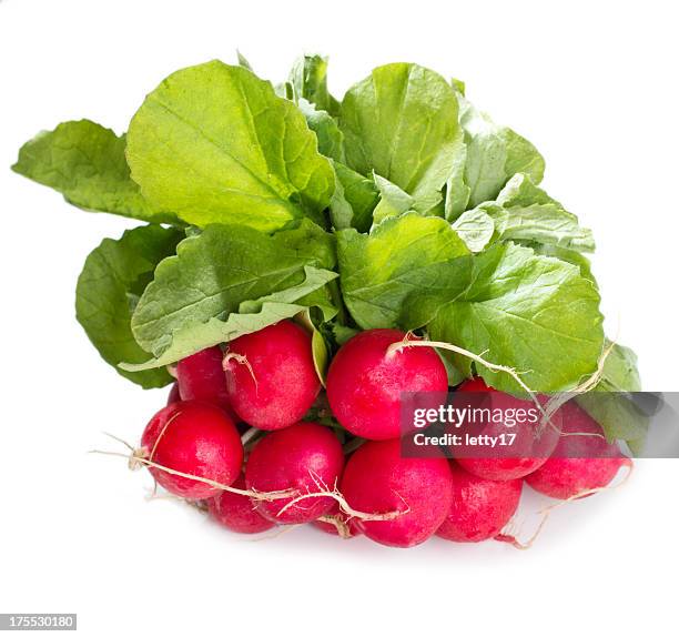 radish - radijs stockfoto's en -beelden