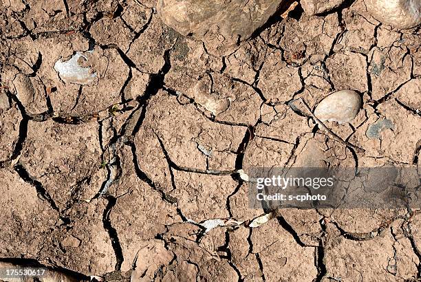 dried soil (click for more) - extreme sports stock pictures, royalty-free photos & images