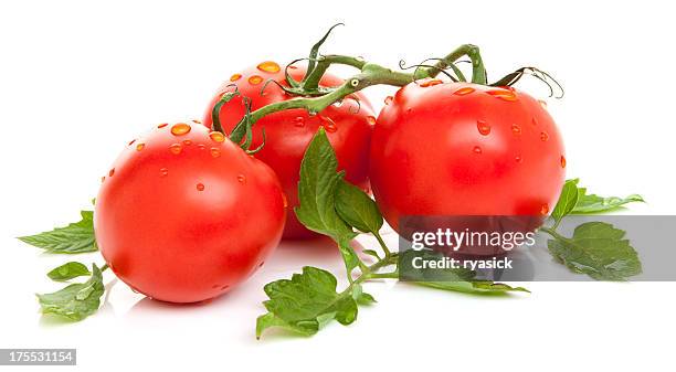 tomatoes isolated - tomato isolated stock pictures, royalty-free photos & images