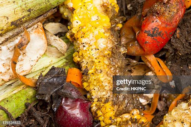 Single Rotten Vegetable Rotting Vegetables Photos and Premium High Res Pictures - Getty Images