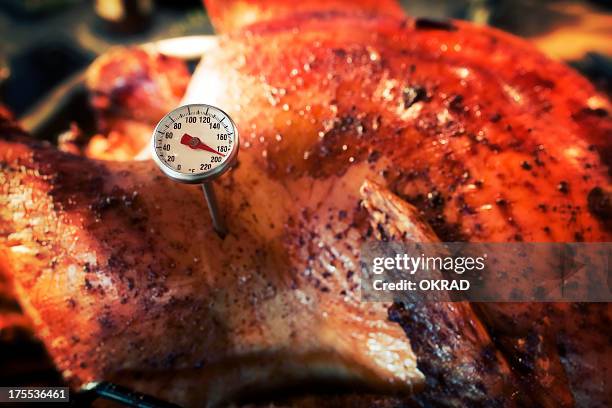 close up of thermometer in roasted turkey - thermometer turkey stock pictures, royalty-free photos & images